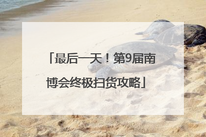 最后一天！第9届南博会终极扫货攻略