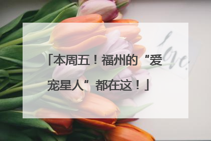 本周五！福州的“爱宠星人”都在这！