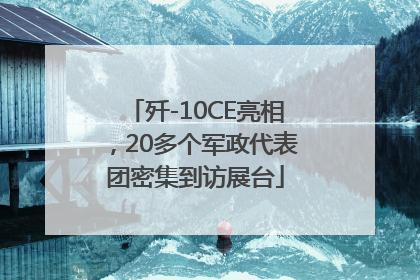 歼-10CE亮相，20多个军政代表团密集到访展台