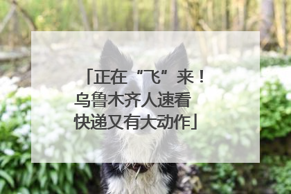 正在“飞”来！乌鲁木齐人速看 快递又有大动作