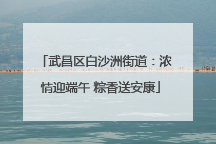 武昌区白沙洲街道：浓情迎端午 粽香送安康