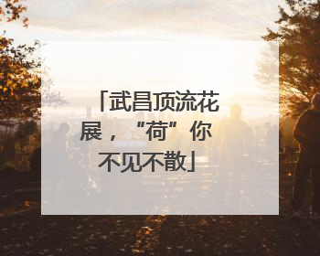 武昌顶流花展，“荷”你不见不散