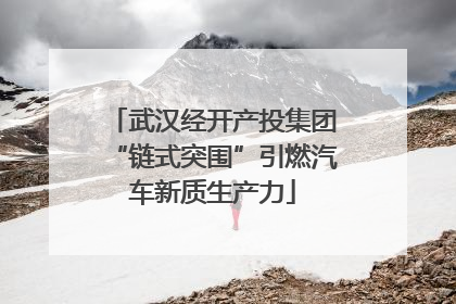 武汉经开产投集团“链式突围”引燃汽车新质生产力