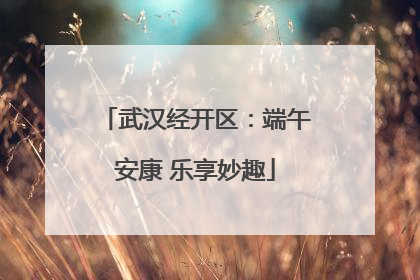 武汉经开区：端午安康 乐享妙趣