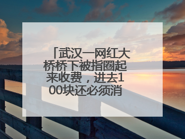 武汉一网红大桥桥下被指圈起来收费，进去100块还必须消费？当地回应