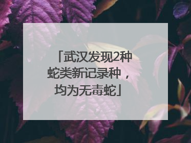武汉发现2种蛇类新记录种，均为无毒蛇