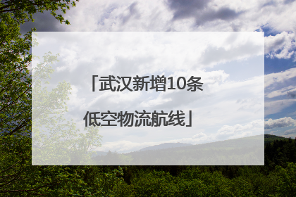武汉新增10条低空物流航线
