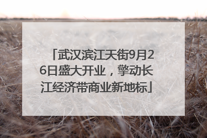 武汉滨江天街9月26日盛大开业，擎动长江经济带商业新地标