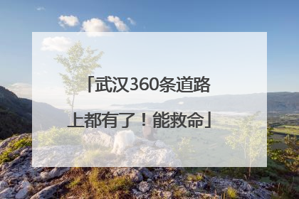 武汉360条道路上都有了！能救命