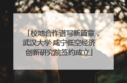 校地合作谱写新篇章，武汉大学·咸宁低空经济创新研究院签约成立