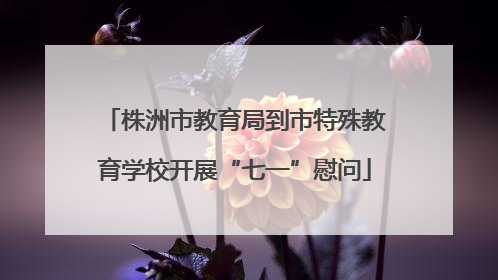 株洲市教育局到市特殊教育学校开展“七一”慰问