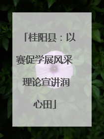 桂阳县：以赛促学展风采 理论宣讲润心田