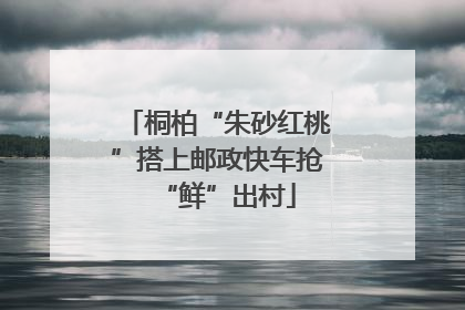 桐柏“朱砂红桃”搭上邮政快车抢“鲜”出村