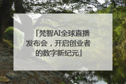 梵智AI全球直播发布会，开启创业者的数字新纪元