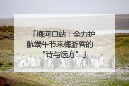 梅河口站：全力护航端午节来梅游客的“诗与远方”