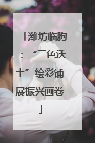 潍坊临朐：“三色沃土”绘彩铺展振兴画卷