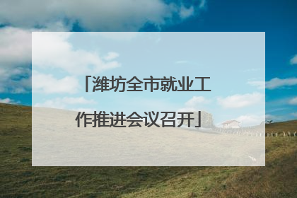 潍坊全市就业工作推进会议召开