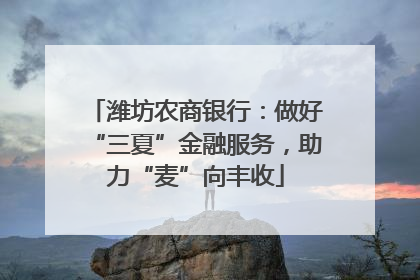 潍坊农商银行：做好“三夏”金融服务，助力“麦”向丰收