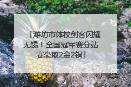 潍坊市体校剑客闪耀无锡！全国冠军赛分站赛豪取2金2铜