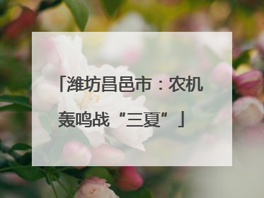 潍坊昌邑市：农机轰鸣战“三夏”