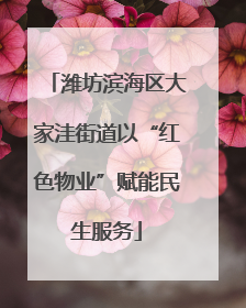 潍坊滨海区大家洼街道以“红色物业”赋能民生服务