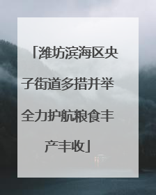 潍坊滨海区央子街道多措并举全力护航粮食丰产丰收