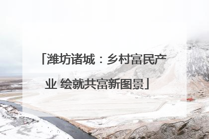 潍坊诸城：乡村富民产业 绘就共富新图景