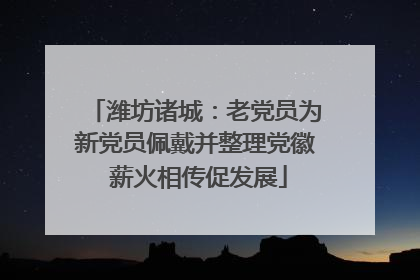 潍坊诸城：老党员为新党员佩戴并整理党徽 薪火相传促发展