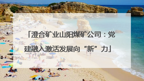 澄合矿业山阳煤矿公司:党建融入激活发展向“新”力