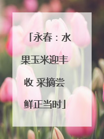 永春：水果玉米迎丰收 采摘尝鲜正当时