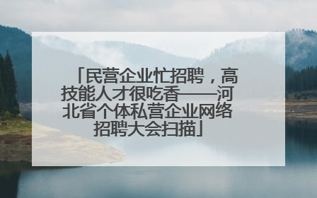 民营企业忙招聘，高技能人才很吃香——河北省个体私营企业网络招聘大会扫描