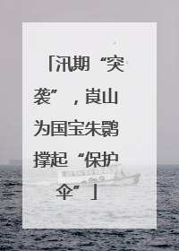 汛期“突袭”，崀山为国宝朱鹮撑起“保护伞”