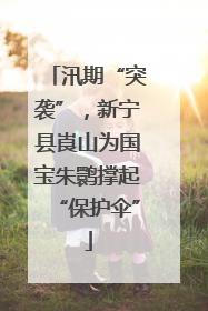 汛期“突袭”，新宁县崀山为国宝朱鹮撑起“保护伞”