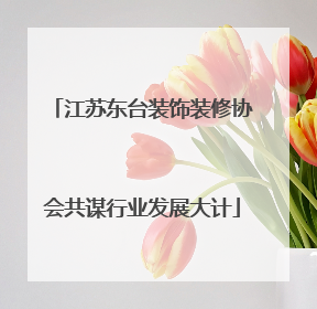 江苏东台装饰装修协会共谋行业发展大计