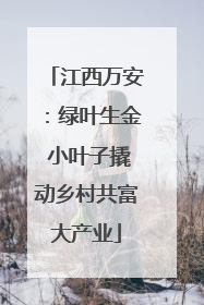 江西万安：绿叶生金 小叶子撬动乡村共富大产业