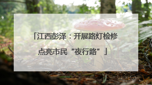江西彭泽：开展路灯检修 点亮市民“夜行路”