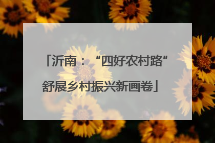 沂南：“四好农村路”舒展乡村振兴新画卷