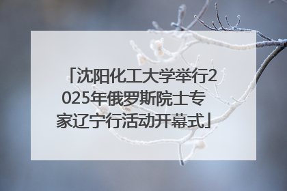 沈阳化工大学举行2025年俄罗斯院士专家辽宁行活动开幕式