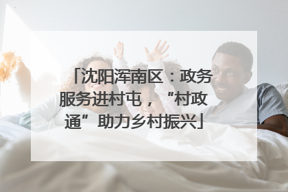 沈阳浑南区：政务服务进村屯，“村政通”助力乡村振兴