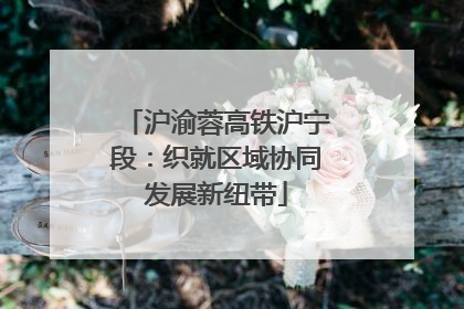 沪渝蓉高铁沪宁段：织就区域协同发展新纽带