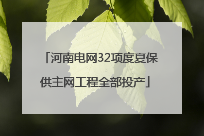 河南电网32项度夏保供主网工程全部投产