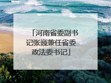 河南省委副书记张巍兼任省委政法委书记