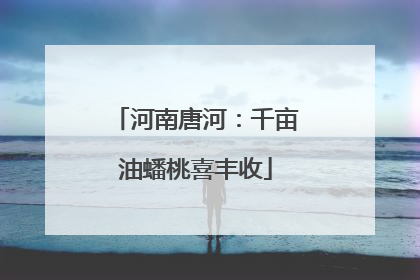 河南唐河：千亩油蟠桃喜丰收