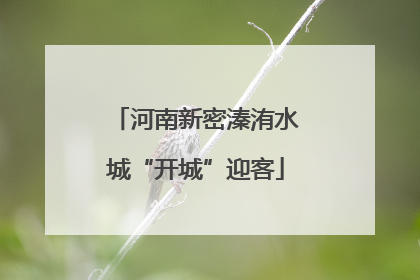 河南新密溱洧水城“开城”迎客