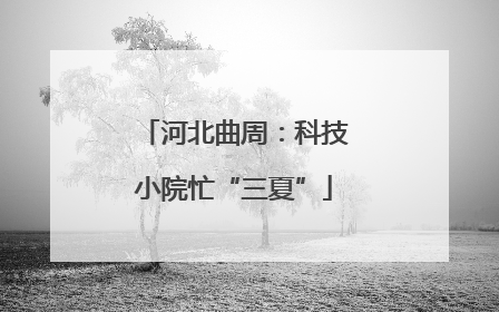 河北曲周：科技小院忙“三夏”