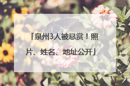 泉州3人被悬赏！照片、姓名、地址公开