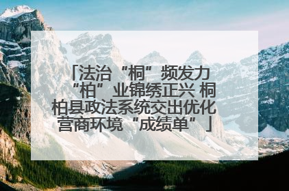 法治“桐”频发力 “柏”业锦绣正兴 桐柏县政法系统交出优化营商环境“成绩单”