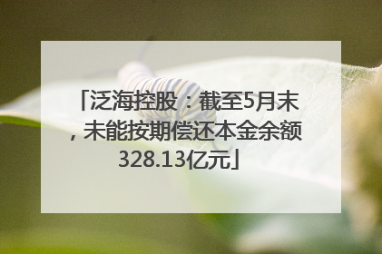 泛海控股：截至5月末，未能按期偿还本金余额328.13亿元