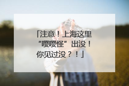 注意！上海这里“嘤嘤怪”出没！你见过没？！