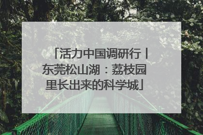 活力中国调研行丨东莞松山湖：荔枝园里长出来的科学城